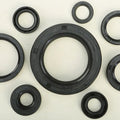 Vertex Oil Seal Set | 822110
