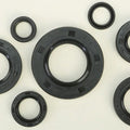 Vertex Oil Seal Set | 822164