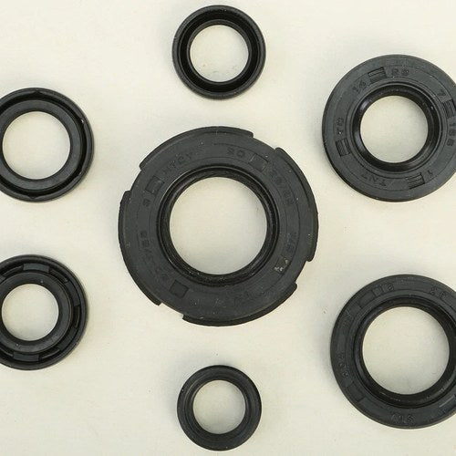 Vertex Oil Seal Set | 822219