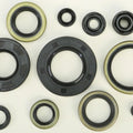 Vertex Oil Seal Set | 822288