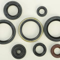 Vertex Oil Seal Set | 822329