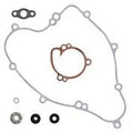 Vertex Water Pump Rebuild Kit | 821412