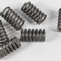Ebc Csk Clutch Spring Kit CSK31