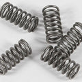 Ebc Csk Clutch Spring Kit CSK77