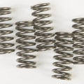 Ebc Csk Clutch Spring Kit CSK188