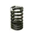 Psychic Exhaust Valve Spring for Yamaha TW200/TT-R230/XT225/XT250/TT-R225