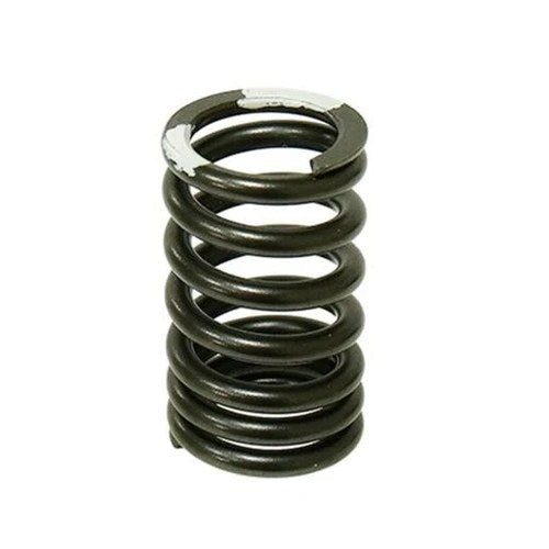 Psychic Exhaust Valve Spring for Yamaha TW200/TT-R230/XT225/XT250/TT-R225