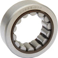 Eastern Pinion Shaft Bearing Natural #A-24623-99B Harley Davidson