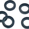 James Front Wheel Bearing Double Lip Oil Seals 5-Pack #JGI-47519-58