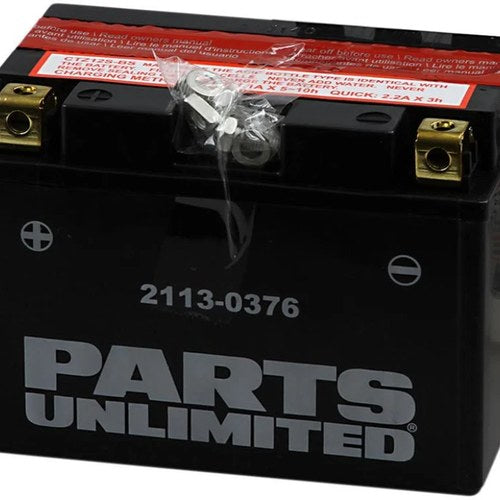 Parts Unlimited Agm Maintenance Free Battery #173858 Honda/Yamaha