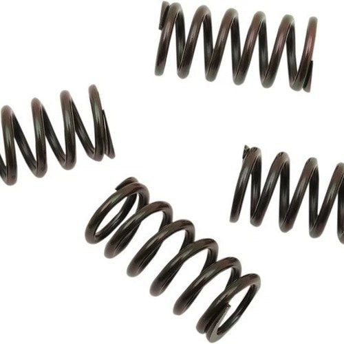 Barnett Clutch Springs #501-85-04120 for Honda XR650L/XR600R/NX650 Dominator