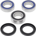 All Balls Wheel Bearing & Seal Kit Rear #25-1556 Sherco