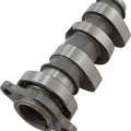 Hot Cams Stage 2 Camshaft #1102-2 #1102-2 fits Honda CRF450X/CRF450R
