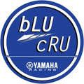 Dcor Brand Decal for Yamaha Blu Cru 12"