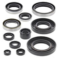 Moose Engine Oil Seal Kit fits Kawasaki KX250 1993-2003