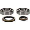 All Balls Crankshaft Bearing & Seal Kit #24-1129 Beta Evo 300/EVO 250