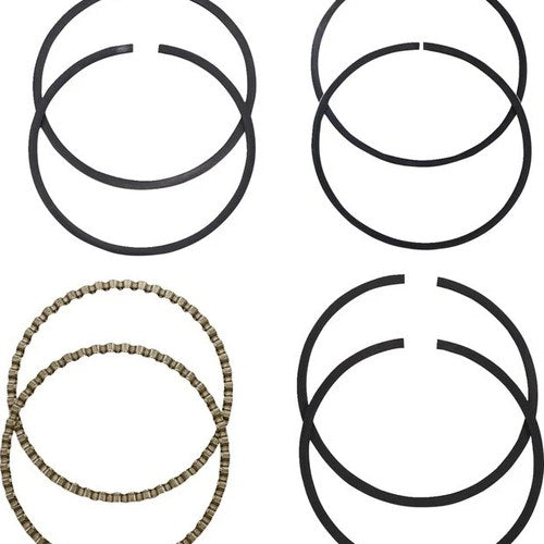 Hastings Moly Rings +.040" #2M-6164-040 Harley Davidson