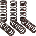 Pro Circuit High Performance Clutch Springs #CSH21450-CS fits Honda CRF450R 2021