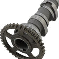 Hot Cams Stage 1 Camshaft #1123-1 for Honda Crf 450 R 2009