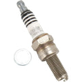 Autolite Iridium Xtreme Sport Spark Plug Each #XS4303 for Aprilia/Honda