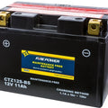 Wps Fire Power CTZ12S-BS Maintenance Free Battery CTZ12S-BS for Honda/Yamaha/BMW