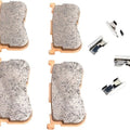 DS Sintered Brake Pads Rear Harley Davidson Freewheeler 2015-2022