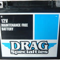 DS Agm Maintenance Free Battery #212245