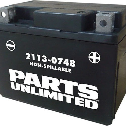Parts Unlimited Agm Maintenance Free Battery 12V YTX4L #266538