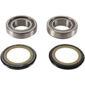 Pivot Works Steering Stem Bearing Kit #PWSSK-H23-000 for Honda