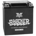 Twin Power Shocker Battery YIX30L-BS #GHDZ30HL-BS Harley Davidson