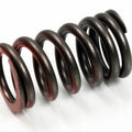 Psychic Intake Valve Spring #XU-09536IS for Suzuki RM-Z450 2005-2007
