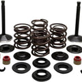 Kibblewhite Black Diamond Complete Engine Valve Kit 20-22450 Harley Davidson