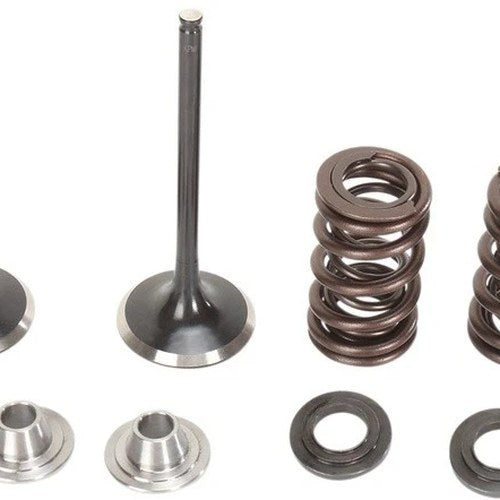 Moose Intake Valve/Spring Kit Steel fits Kawasaki KX450F 2009-2015