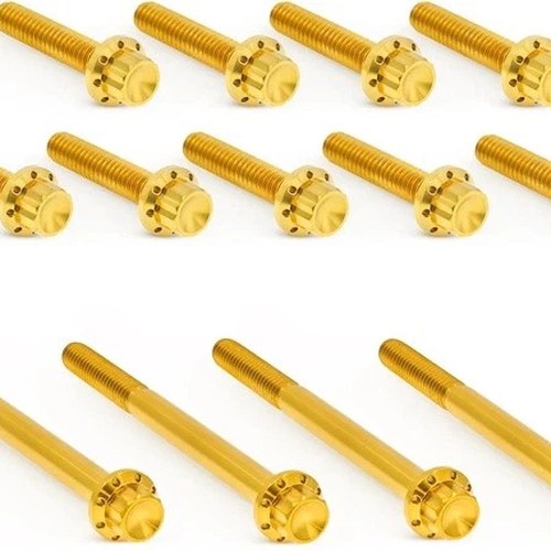 Arlen Ness Titanium Primary Cover Bolt Kit Gold #300-991 Harley Davidson