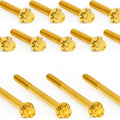 Arlen Ness Titanium Primary Cover Bolt Kit Gold #300-991 Harley Davidson