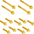 Arlen Ness Titanium Primary Cover Bolt Kit Gold #300-931 Harley Davidson Softail