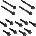 Arlen Ness Titanium Primary Cover Bolt Kit Black 300-930 Harley Davidson Softail