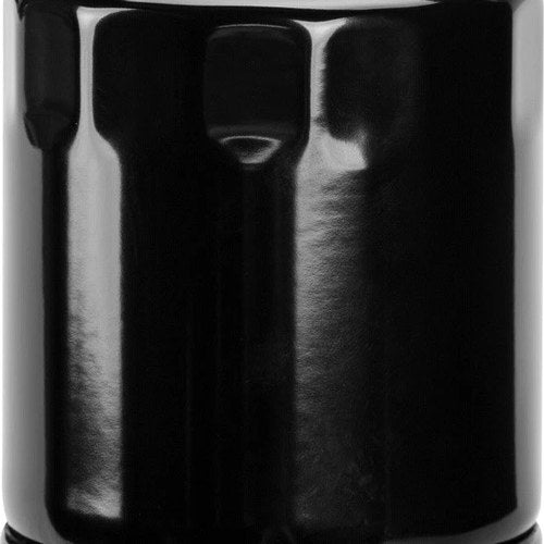 HardDrive Performance Heavy-Duty Oil Filter Black #PS171XB-SBM Harley Davidson