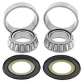 All Balls Steering Bearing & Seal Kit #22-1062 Ducati
