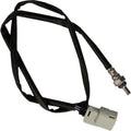 Feuling Oxygen Sensor 12mm x 1.25 with 29" Lead & Gray Connector