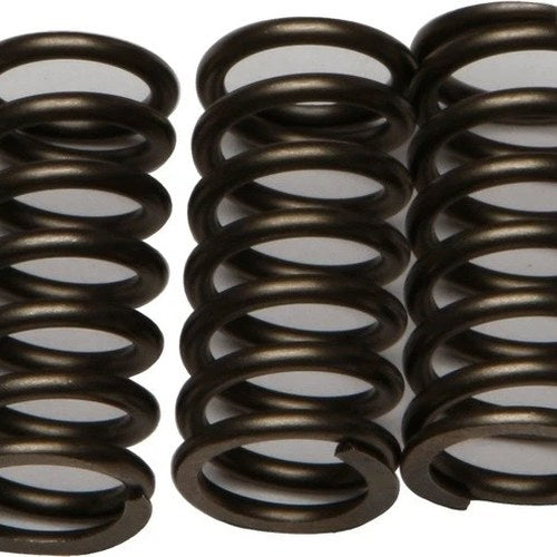 Ebc Csk Clutch Springs #CSK203 fits Kawasaki Ninja 300/Ninja 300 ABS 2013-2016