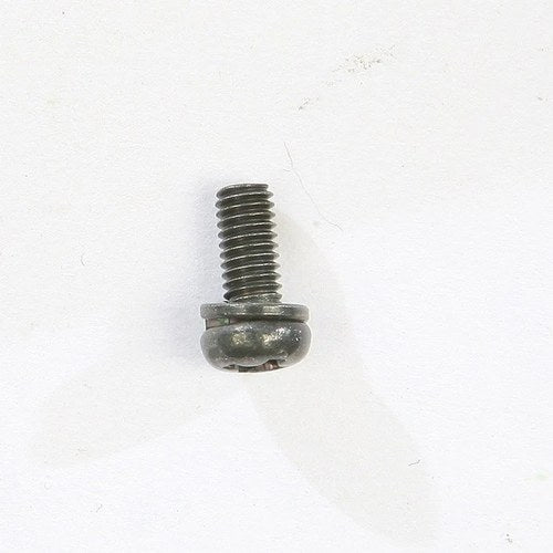 Mikuni Screw with Washer for Super BN46 CW2=0307-G
