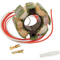 Rick's Motorsports Stator fits Honda CR500R/CR125R/CR250R 2-Stroke 1984-1985