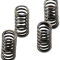 Ebc Csk Clutch Springs #CSK233 Harley Davidson V-Rod