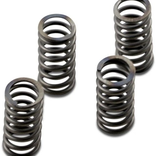 Ebc Csk Clutch Springs #CSK233 Harley Davidson V-Rod