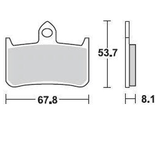 Braking CM55 Brake Pads for Honda VTR1000/RS125R/CBR 900/RVF750R/RS250R/VFR750