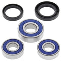 All Balls Wheel Bearing & Seal Kit Rear BMW/Aprilia F 650 ST/F 650/Pegaso 650