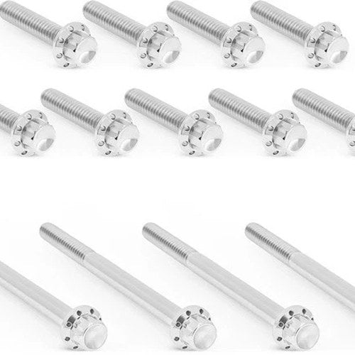 Arlen Ness Titanium Primary Cover Bolt Kit #300-989 Harley Davidson
