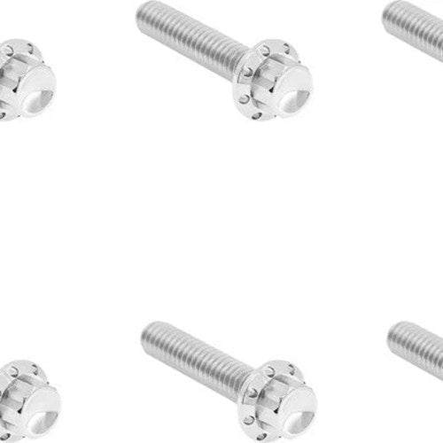 Arlen Ness Titanium 12-Point Clutch Cover Hardware Kit Polished #300-700