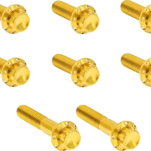 Arlen Ness Titanium 12-Point Trap Door Hardware Kit Gold 300-714 Harley Davidson